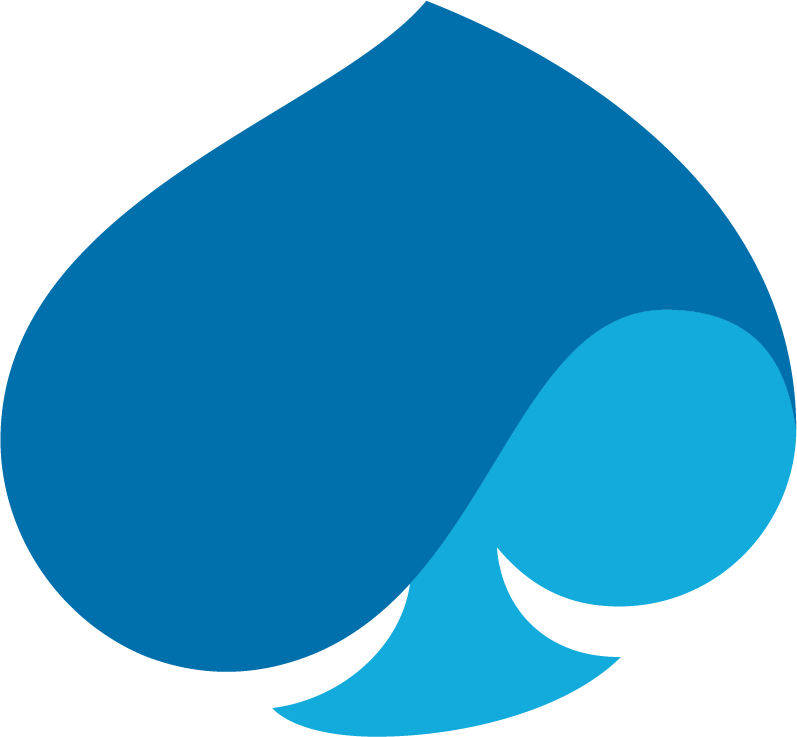 CAPGEMINI
