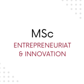 MSc  Information Systems & Digital Business Consulting