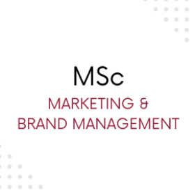 MSc Marketing and Brand Management