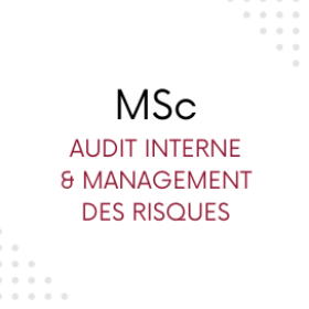 MSc Audit Interne et Management des Risques