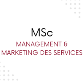 MSc Management et Marketing des services