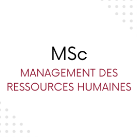 MSc Management des ressources humaines