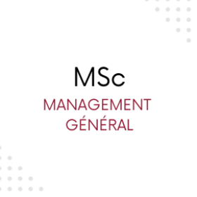 MSc Management Général